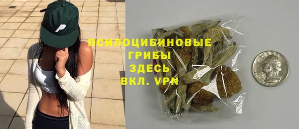 мяу мяу мука Переславль-Залесский
