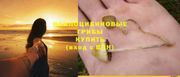MESCALINE Лиски