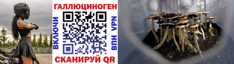 Галлюциногенные грибы Magic Shrooms  Псков 