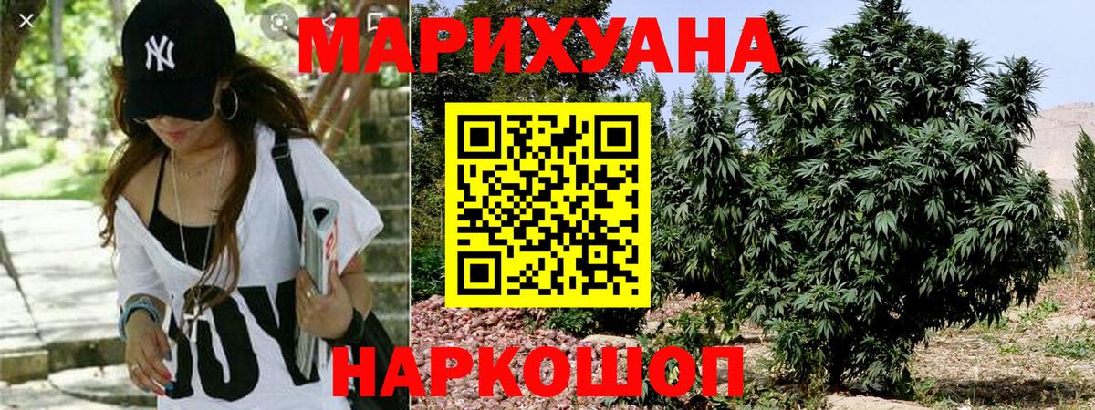 Бошки марихуана Amnesia  Марихуана тримм  Бошки Шишки семена  Псков  Вход с VPN  Марихуана White Widow 